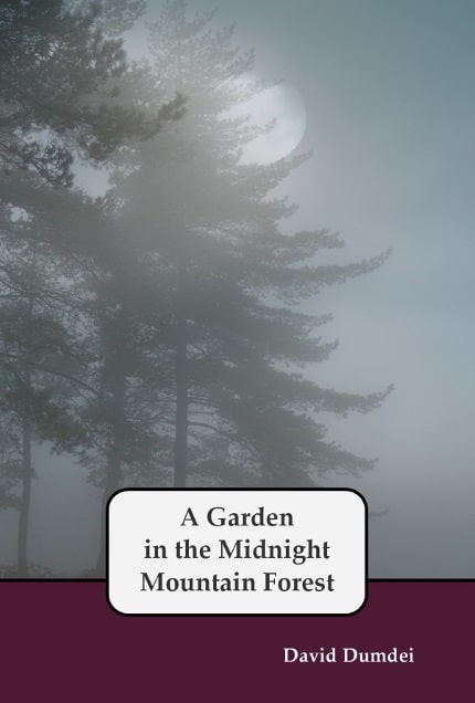 A Garden in the Midnight Mountain Forest